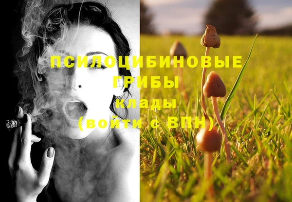 прущая мука Кинешма